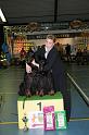 kerstshow 2008 049